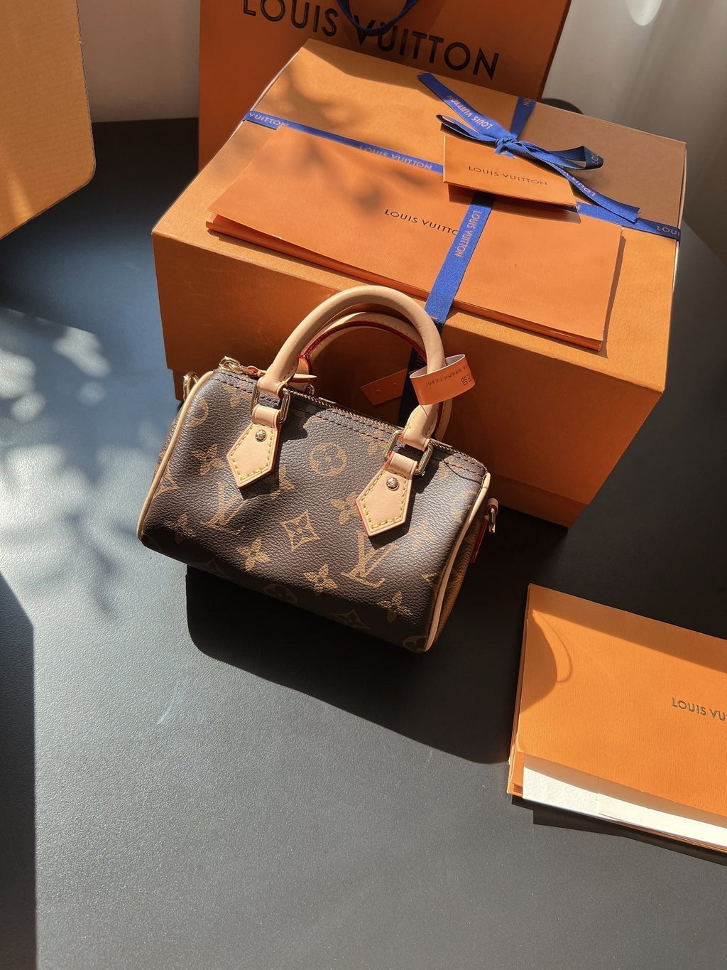 LV Speedy Nano Monogram Canvas Handle Crossbody Bag with Leather Trim and Adjustable Strap 16 cm
